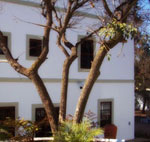 Casablanca, Houghton, Johannesburg